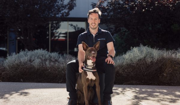 Silentium-Defence-Staff-2024-04